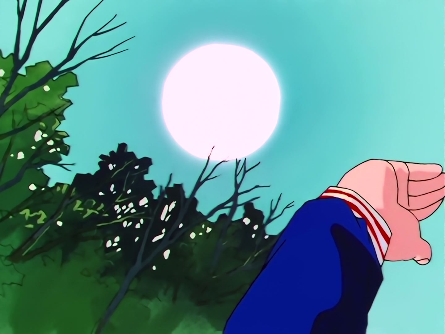 Sailor Moon Ep 115: Protect Mamoru! Ninja Usagi's Jealousy @ 00:01:55