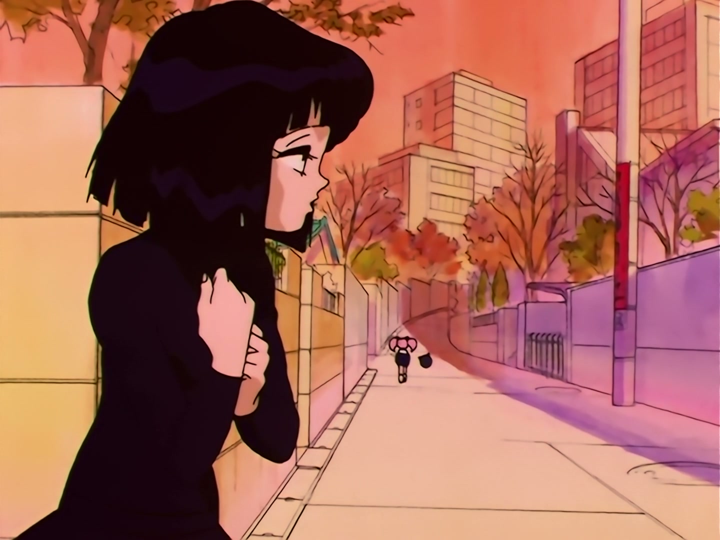Sailor Moon Ep 115: Protect Mamoru! Ninja Usagi's Jealousy @ 00:07:42