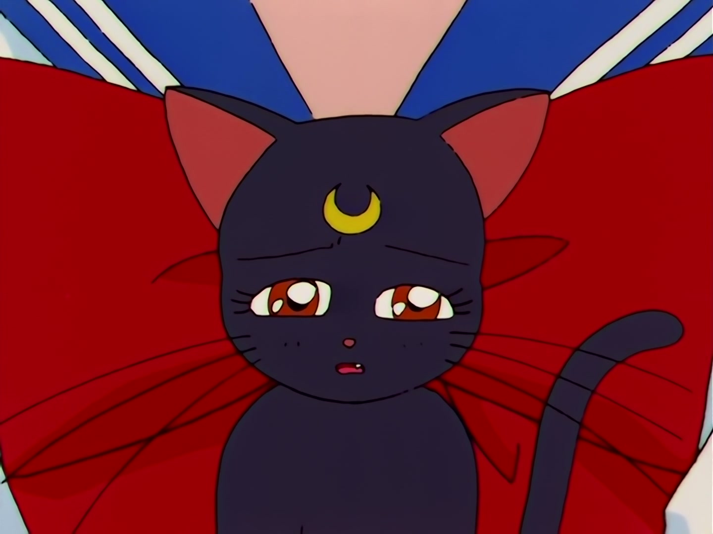 Sailor Moon Ep 117: Higher and Stronger: A Cheer from Usagi @ 00:03:22