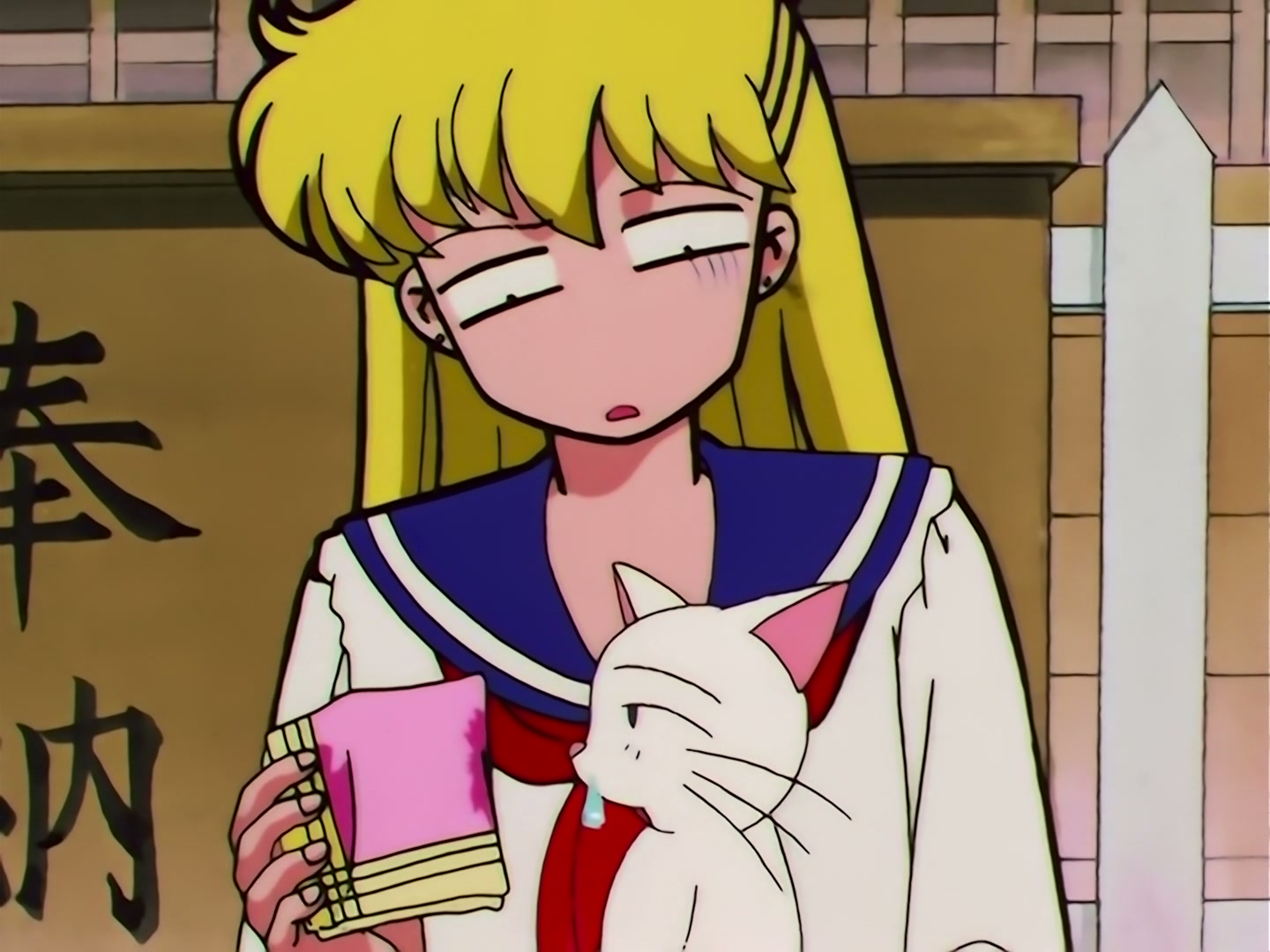 Sailor Moon Ep 117: Higher and Stronger: A Cheer from Usagi @ 00:03:44