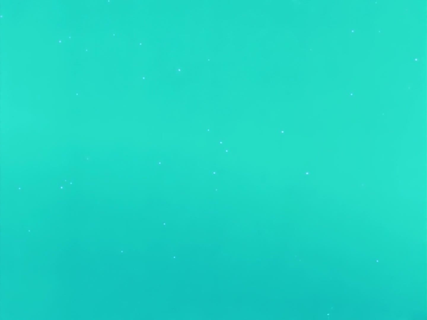 Sailor Moon Ep 131: Catch Pegasus: The Amazon's Trap @ 00:21:28