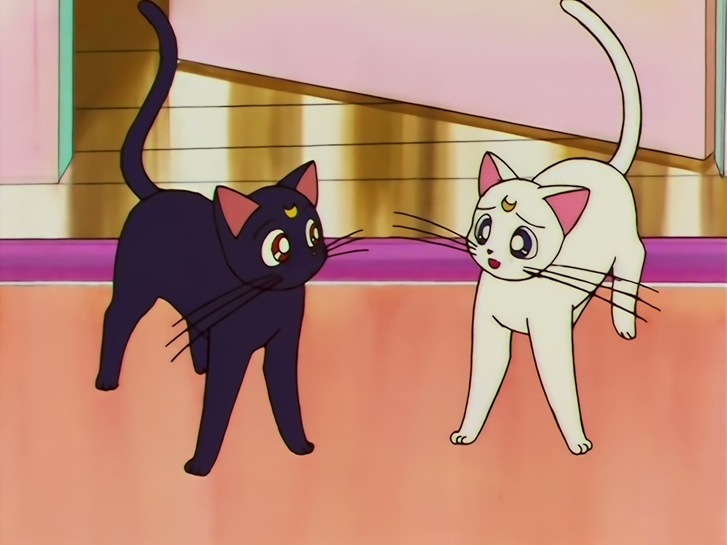 Sailor Moon Ep 133: Artemis is Cheating? Enter the Mysterious Kitten @ 00:03:08