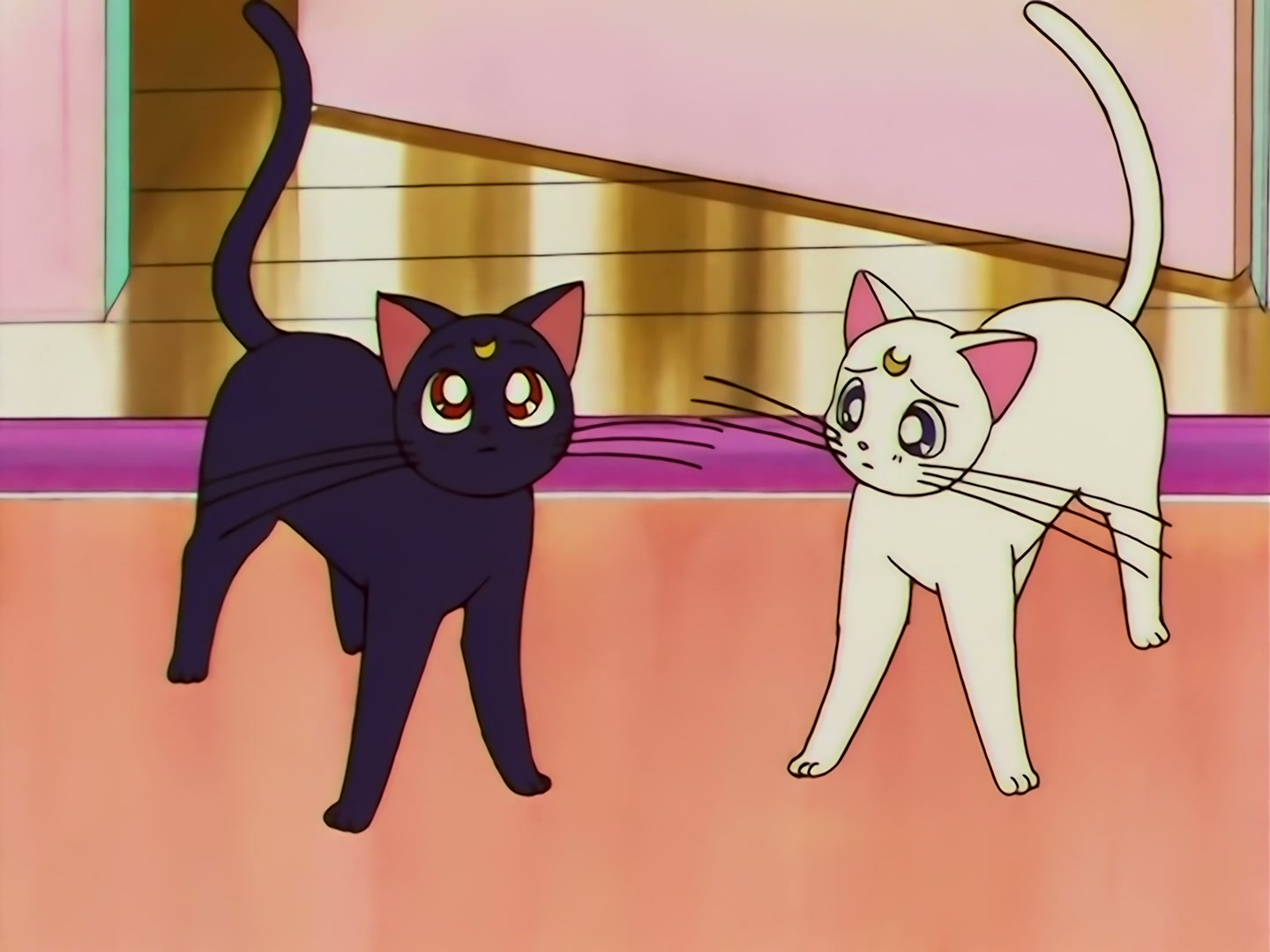 Sailor Moon Ep 133: Artemis is Cheating? Enter the Mysterious Kitten @ 00:03:12