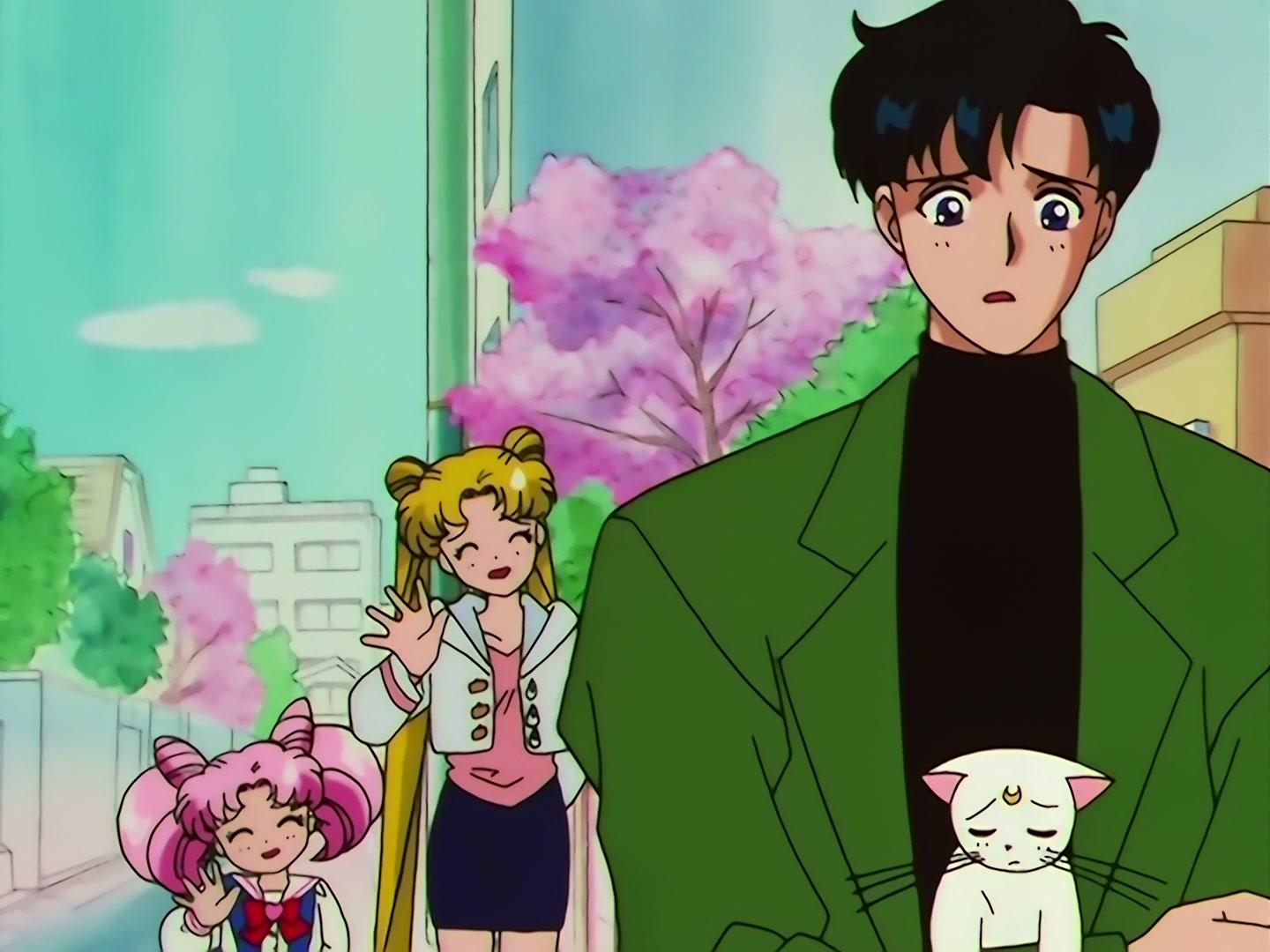 Sailor Moon Ep 133: Artemis is Cheating? Enter the Mysterious Kitten @ 00:03:55
