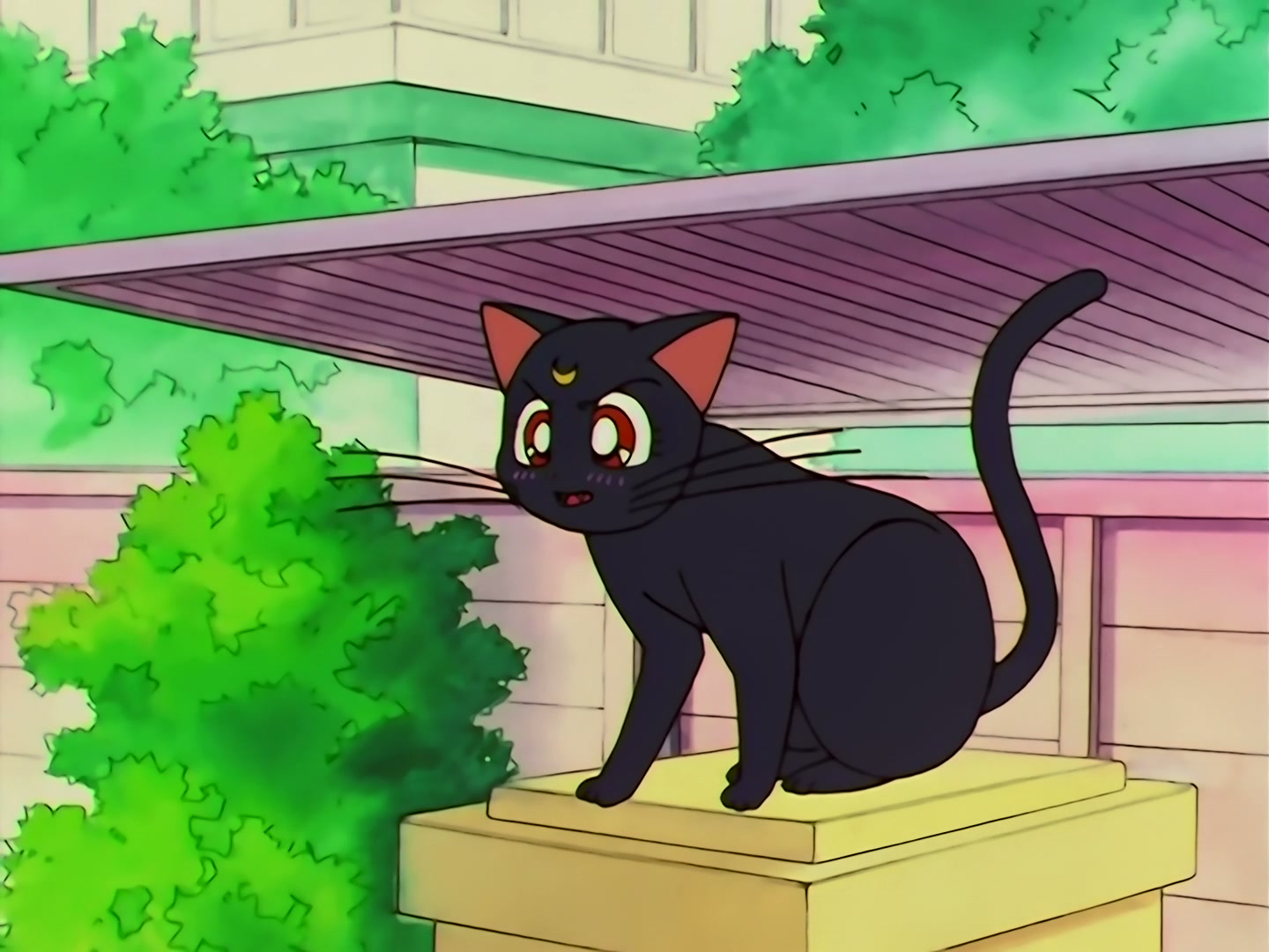 Sailor Moon Ep 133: Artemis is Cheating? Enter the Mysterious Kitten @ 00:04:04