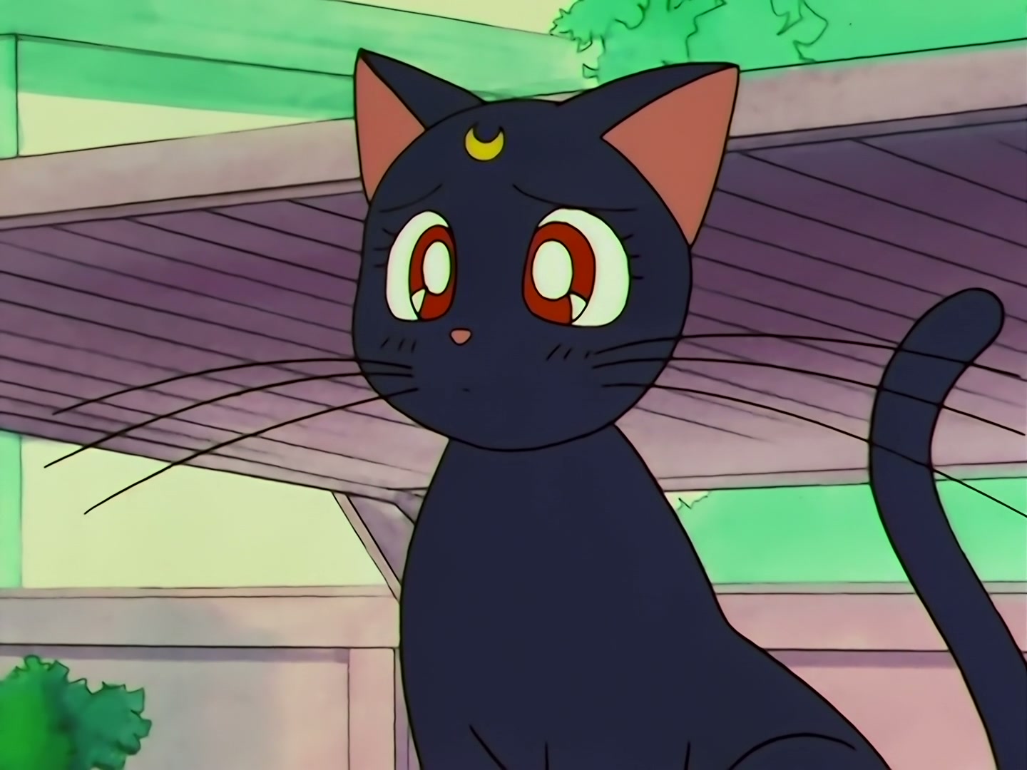 Sailor Moon Ep 133: Artemis is Cheating? Enter the Mysterious Kitten @ 00:04:25