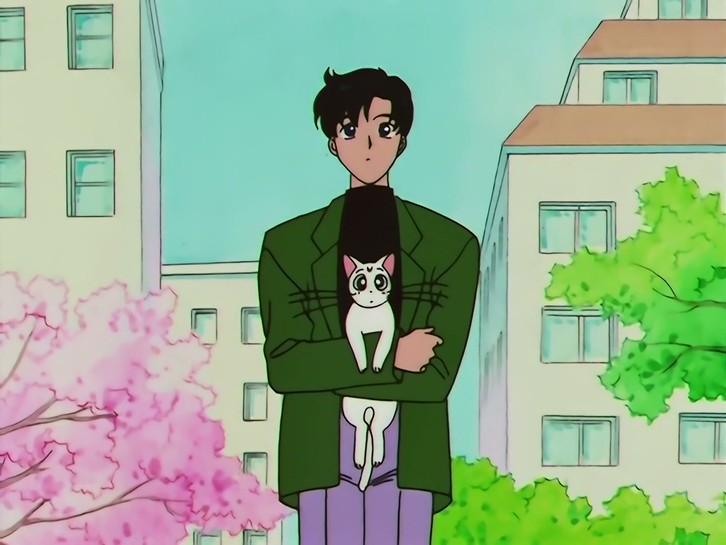 Sailor Moon Ep 133: Artemis is Cheating? Enter the Mysterious Kitten @ 00:04:38
