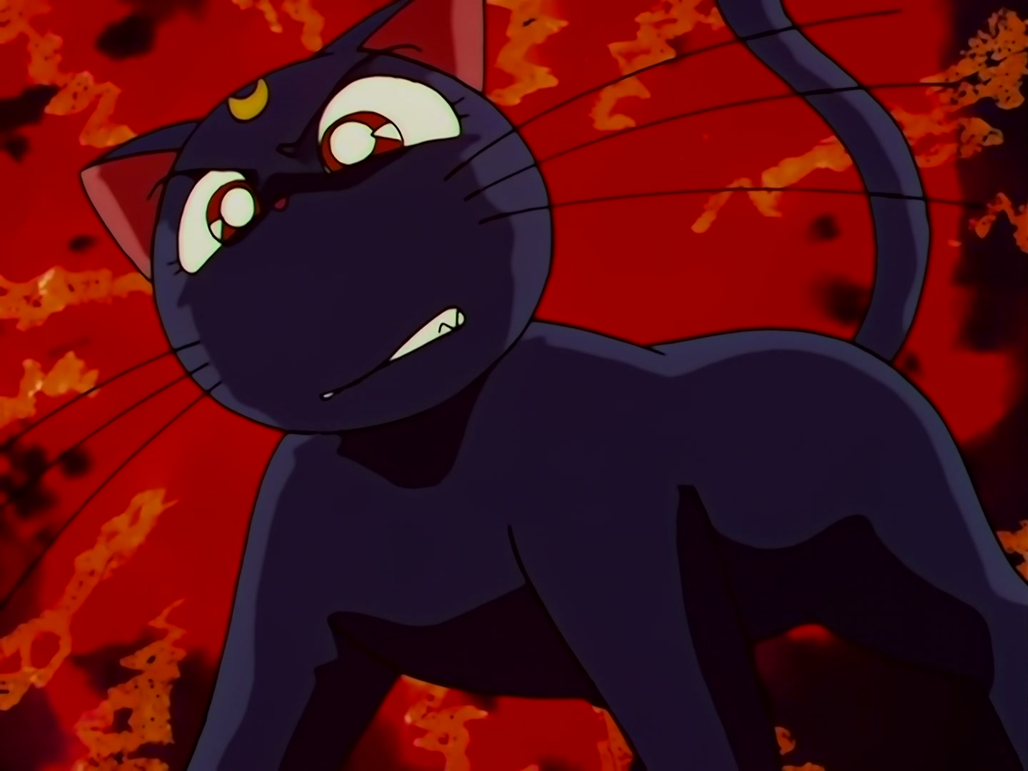 Sailor Moon Ep 133: Artemis is Cheating? Enter the Mysterious Kitten @ 00:05:12