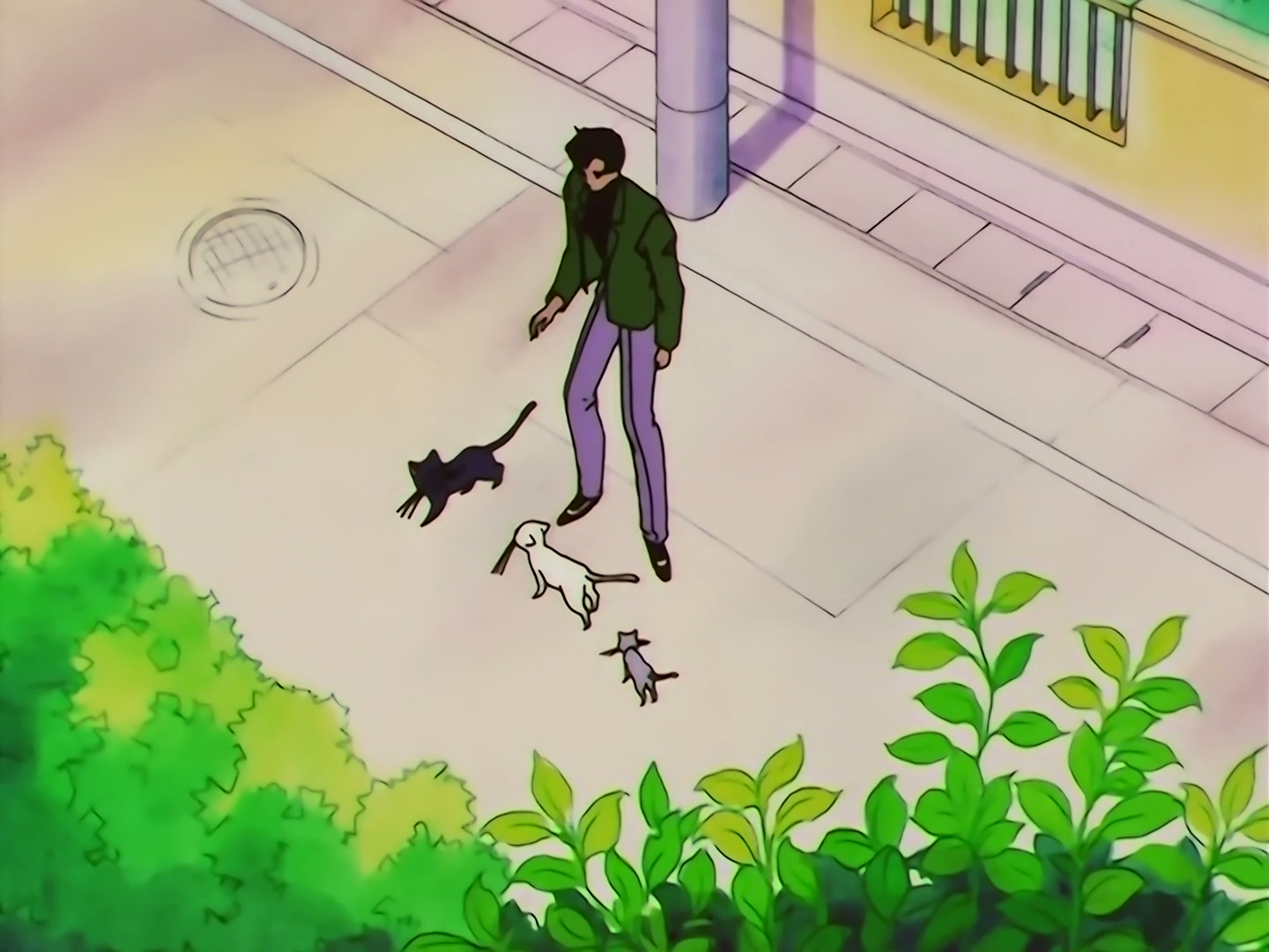 Sailor Moon Ep 133: Artemis is Cheating? Enter the Mysterious Kitten @ 00:05:33