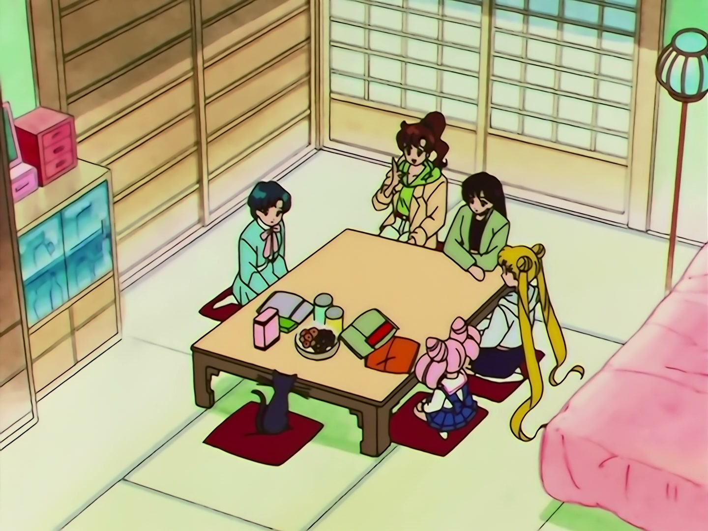 Sailor Moon Ep 133: Artemis is Cheating? Enter the Mysterious Kitten @ 00:10:07