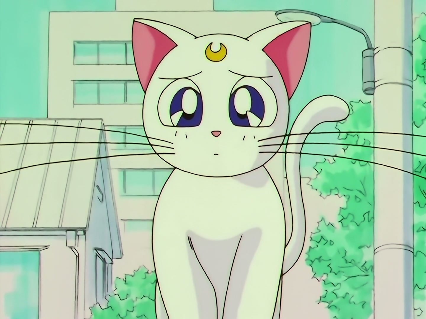 Sailor Moon Ep 133: Artemis is Cheating? Enter the Mysterious Kitten @ 00:12:07