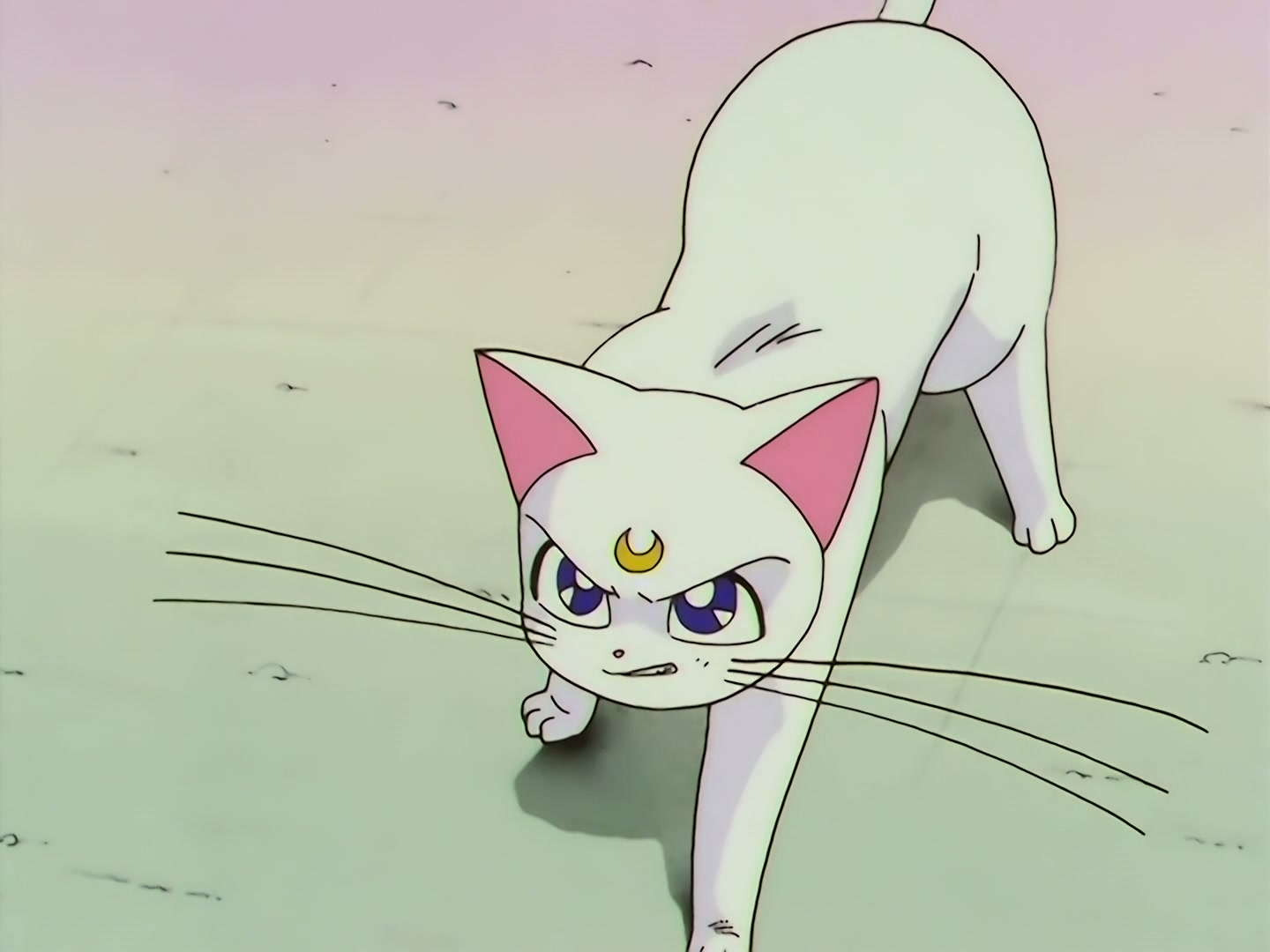 Sailor Moon Ep 133: Artemis is Cheating? Enter the Mysterious Kitten @ 00:15:50