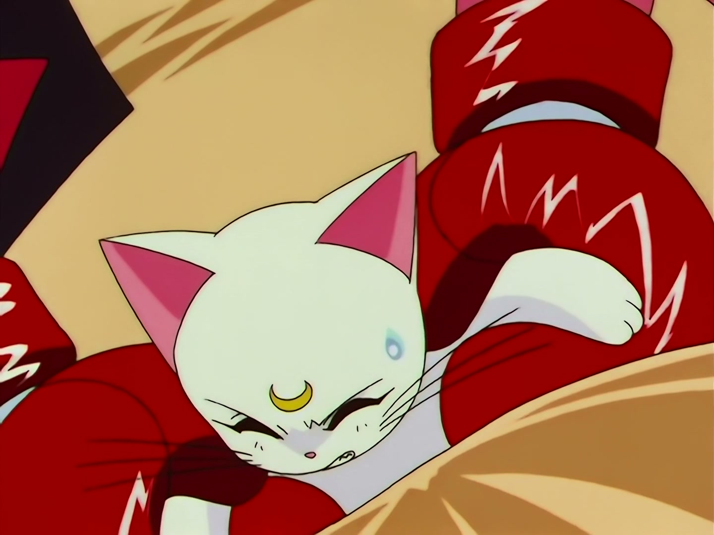 Sailor Moon Ep 133: Artemis is Cheating? Enter the Mysterious Kitten @ 00:16:03