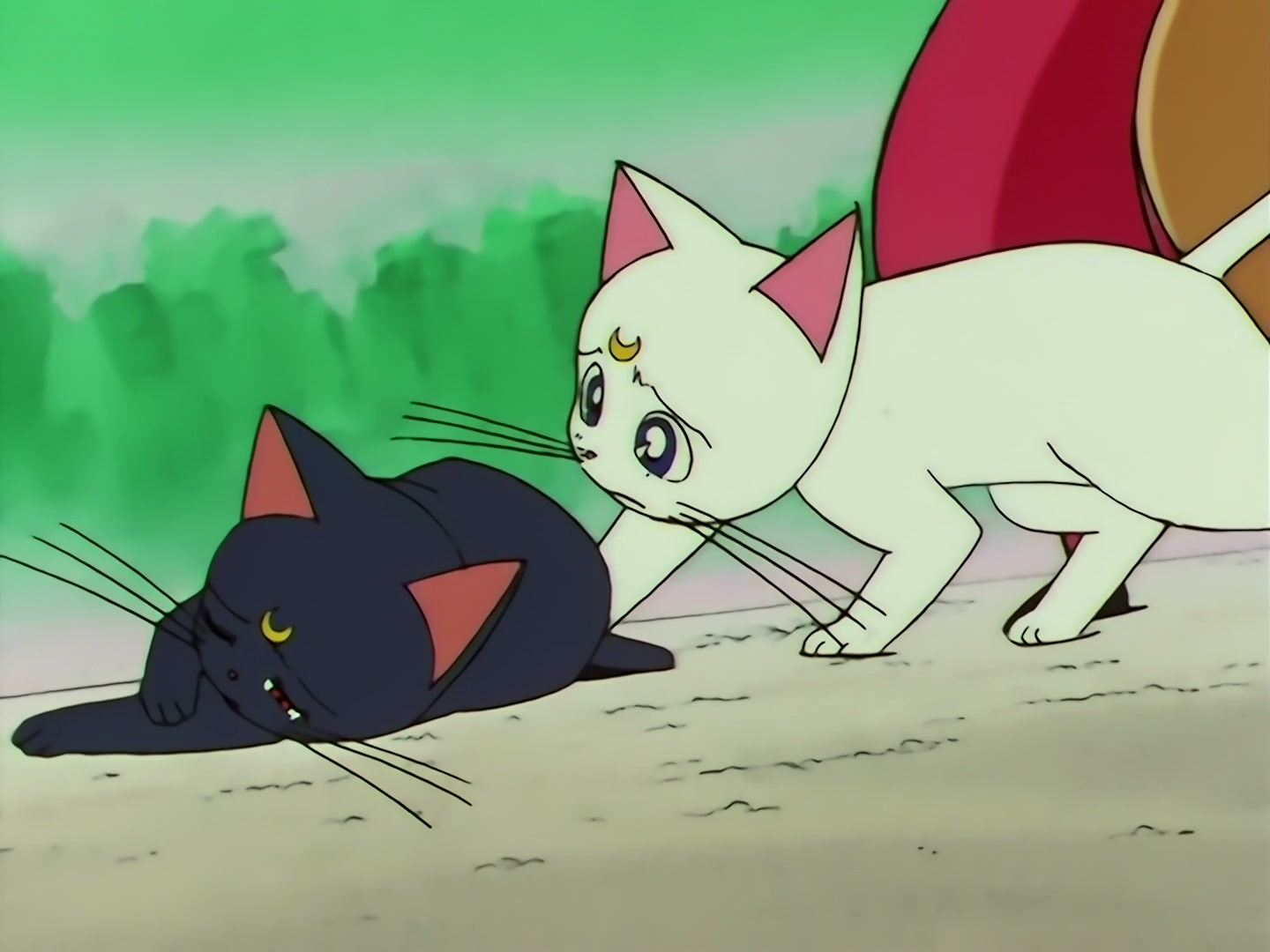 Sailor Moon Ep 133: Artemis is Cheating? Enter the Mysterious Kitten @ 00:18:49