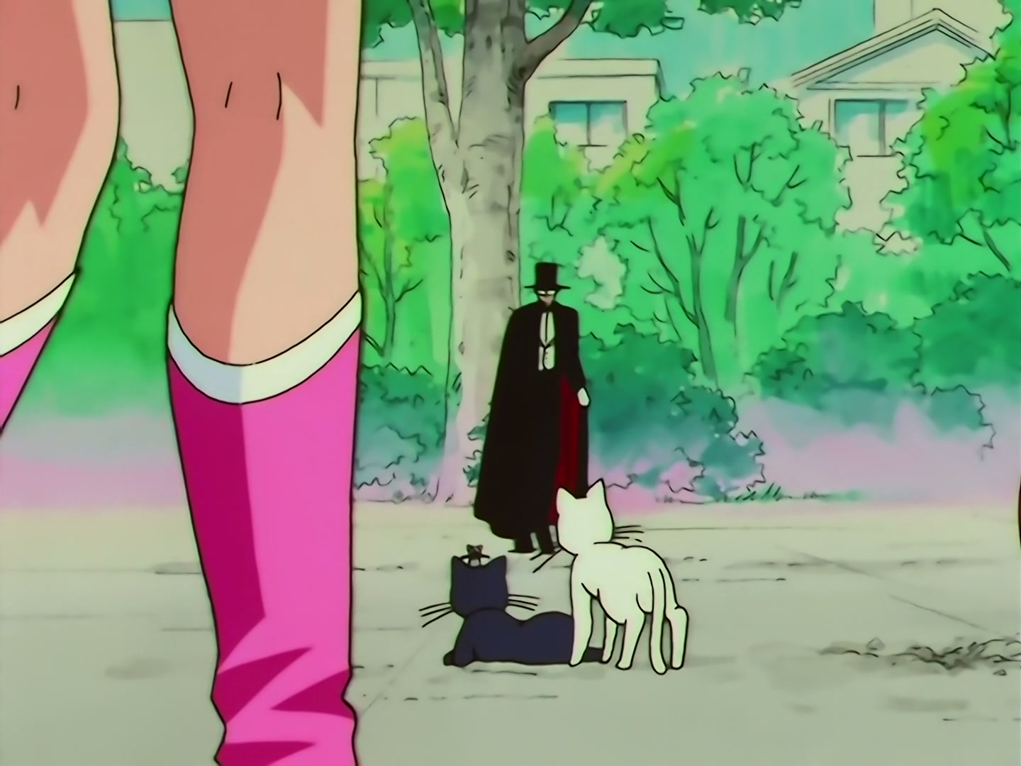 Sailor Moon Ep 133: Artemis is Cheating? Enter the Mysterious Kitten @ 00:19:11