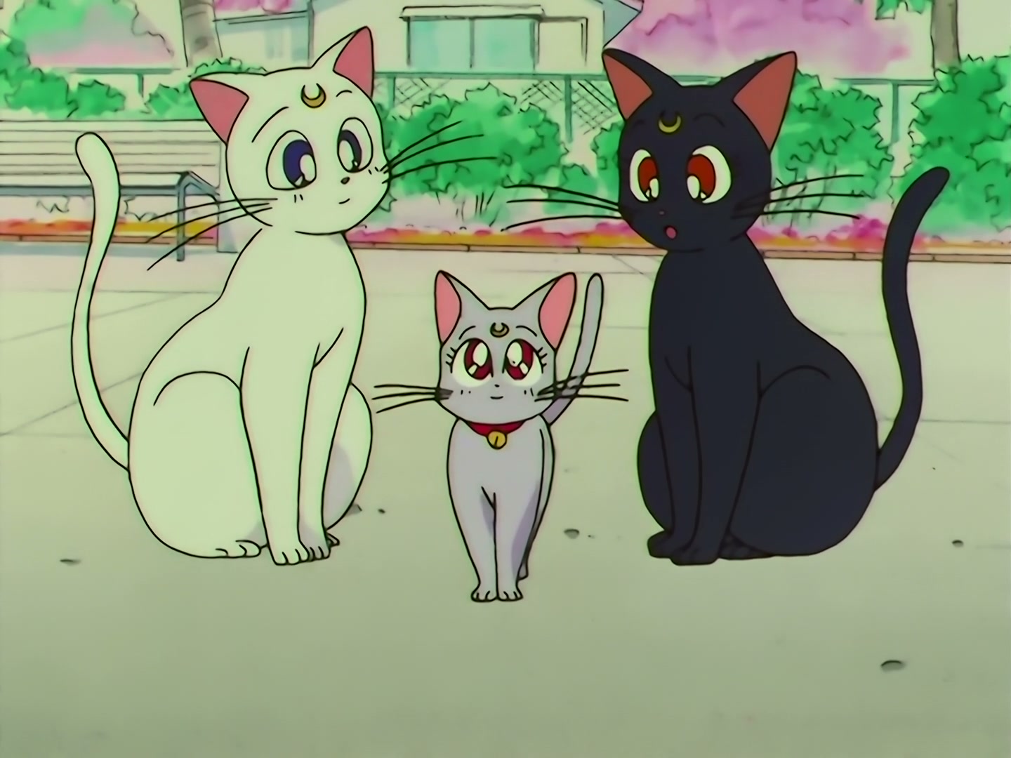 Sailor Moon Ep 133: Artemis is Cheating? Enter the Mysterious Kitten @ 00:20:58