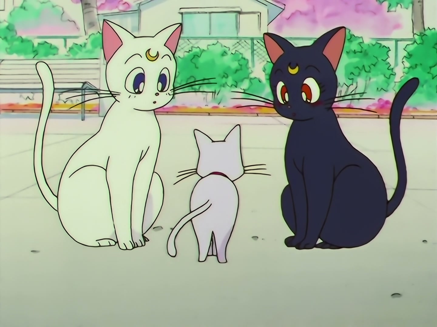 Sailor Moon Ep 133: Artemis is Cheating? Enter the Mysterious Kitten @ 00:21:32