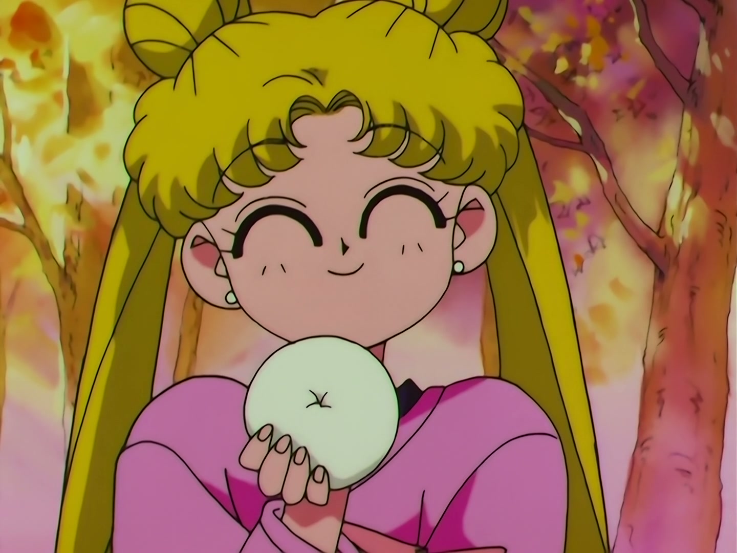 Sailor Moon Ep 156: Don't Lose Sight of Your Dreams: The Mirror of Truth @ 00:05:51