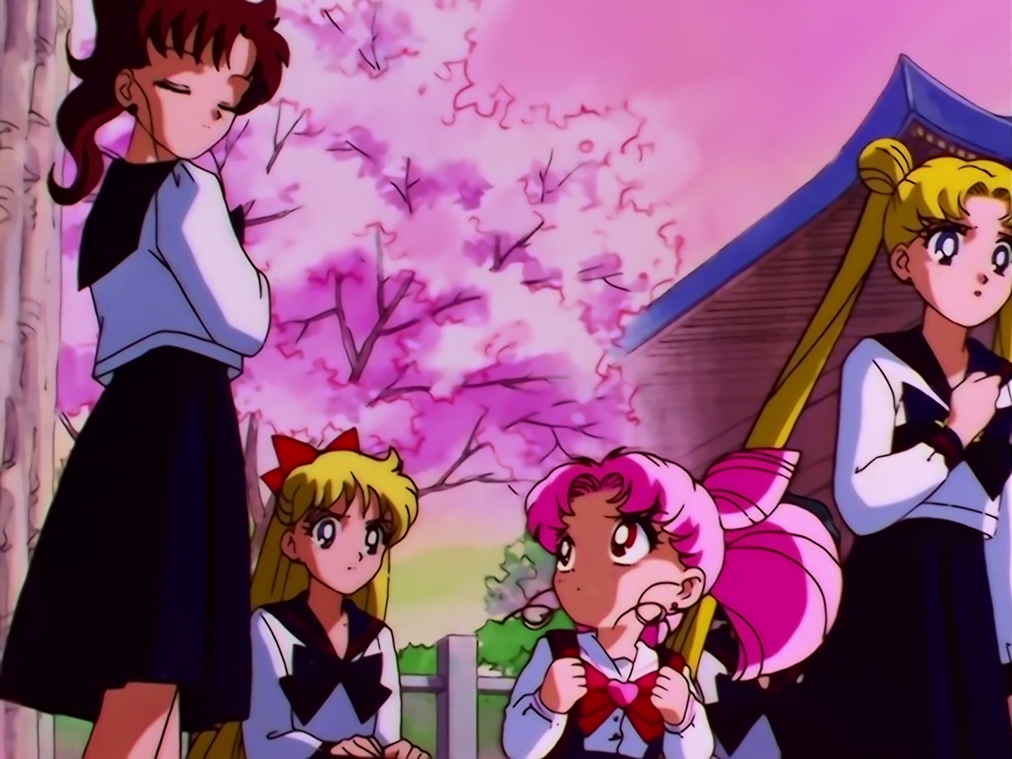 Sailor Moon Ep 169: The Cursed Mirror! Mamoru Caught in a Nightmare @ 00:12:33