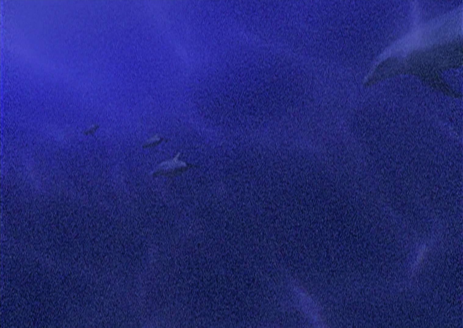 Serial Experiments Lain Ep 9: Protocol @ 00:09:58
