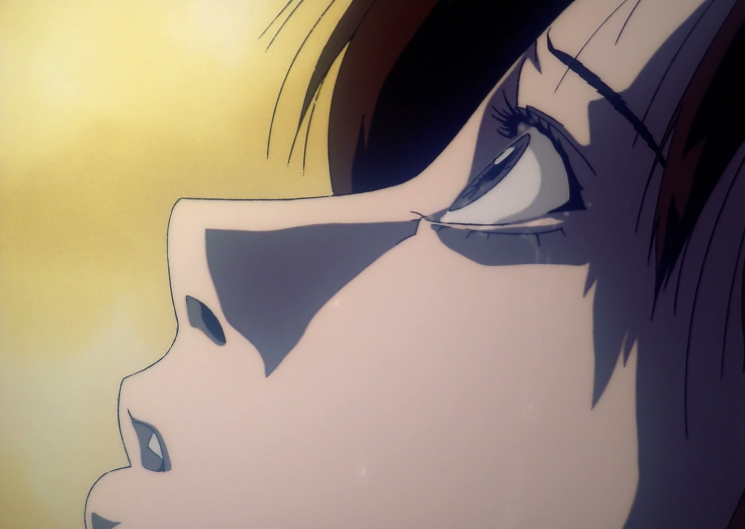 Serial Experiments Lain Ep 13: Ego @ 00:04:09