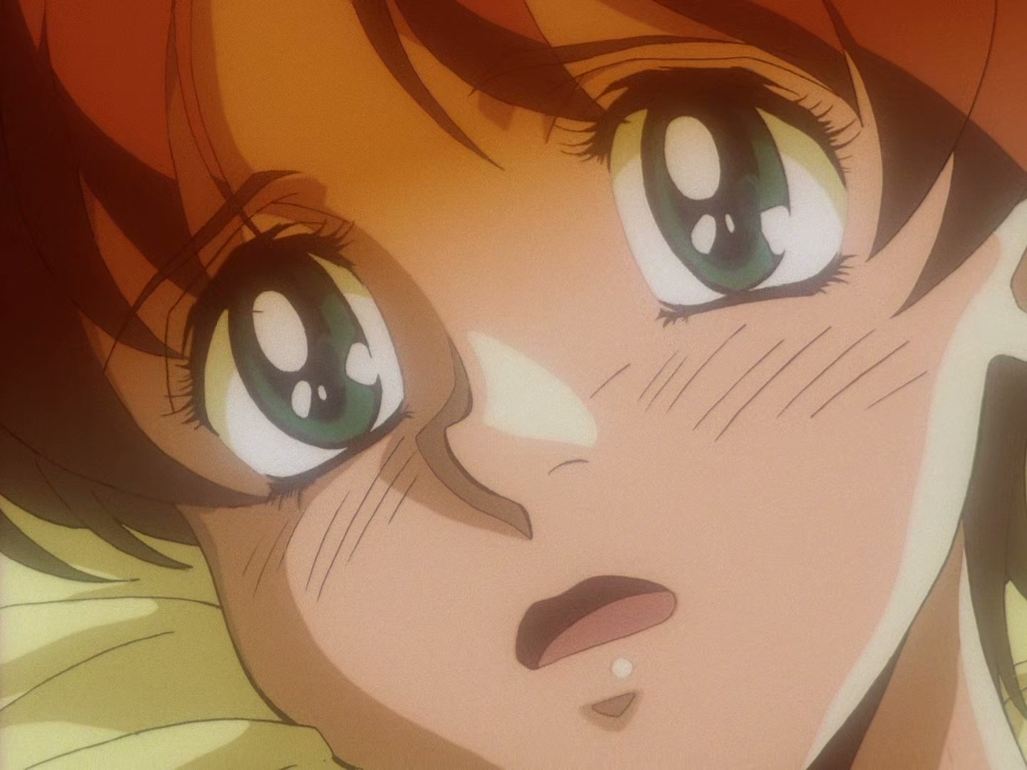 The Vision of Escaflowne Ep 24: Fateful Decision @ 00:01:44