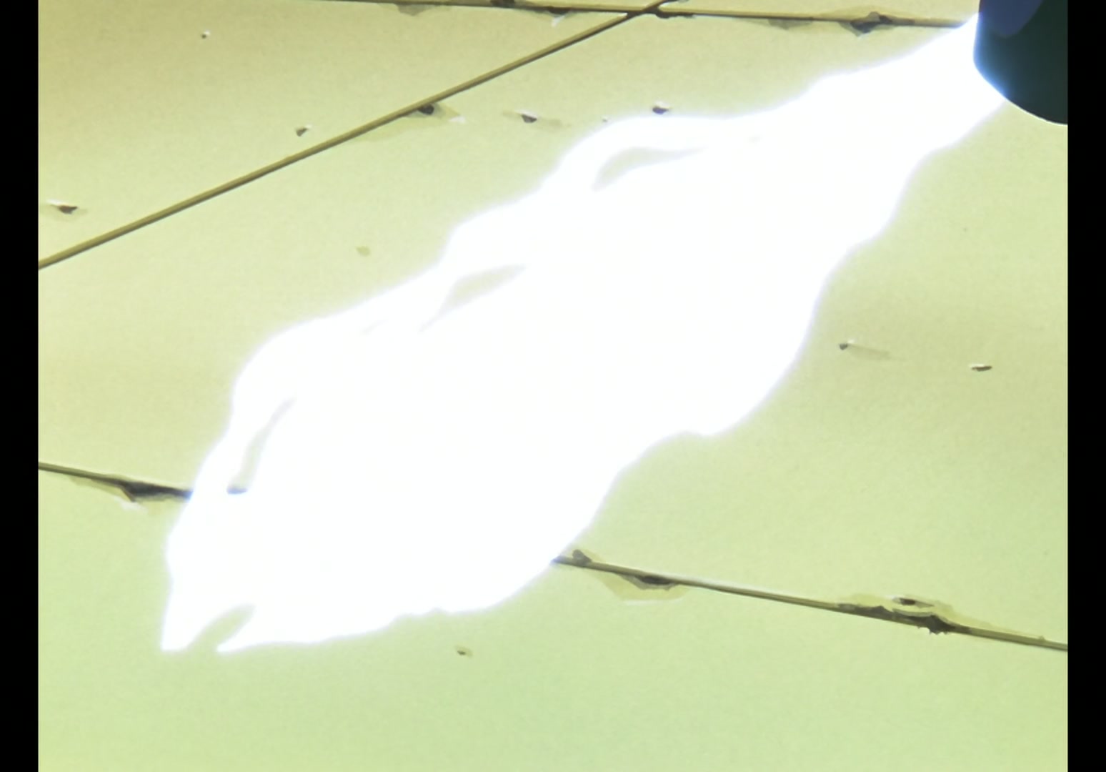 Yu Yu Hakusho Ep 61: Yusuke vs. Toguro @ 00:01:30